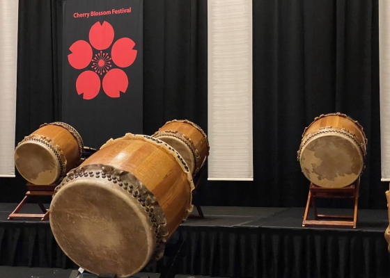 The 71st Cherry Blossom Festival — images 6