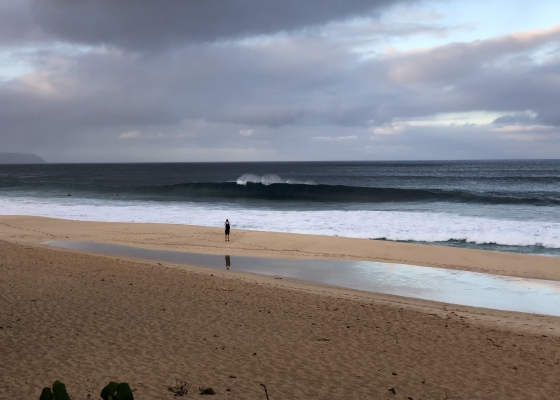 Da Hui Backdoor Shootout 2018 — images