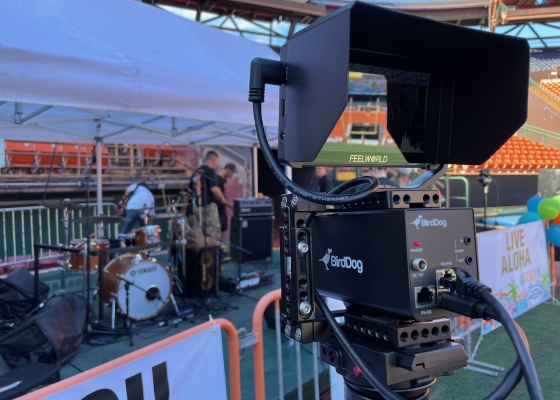 Hawaiʻi Pacific Health Great Aloha Run — images 7