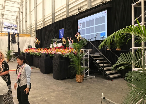 Hawaiian Airlines Rebrand Logo Reveal — images 7