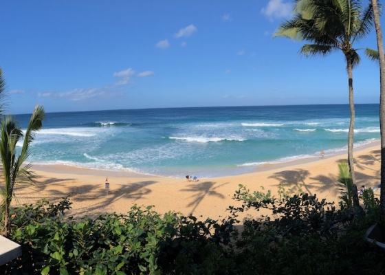 Da Hui Backdoor Shootout 2019 — images 2